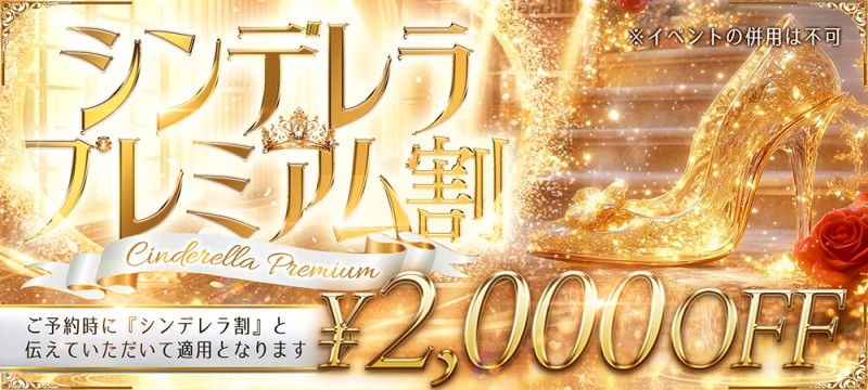 �V���f������